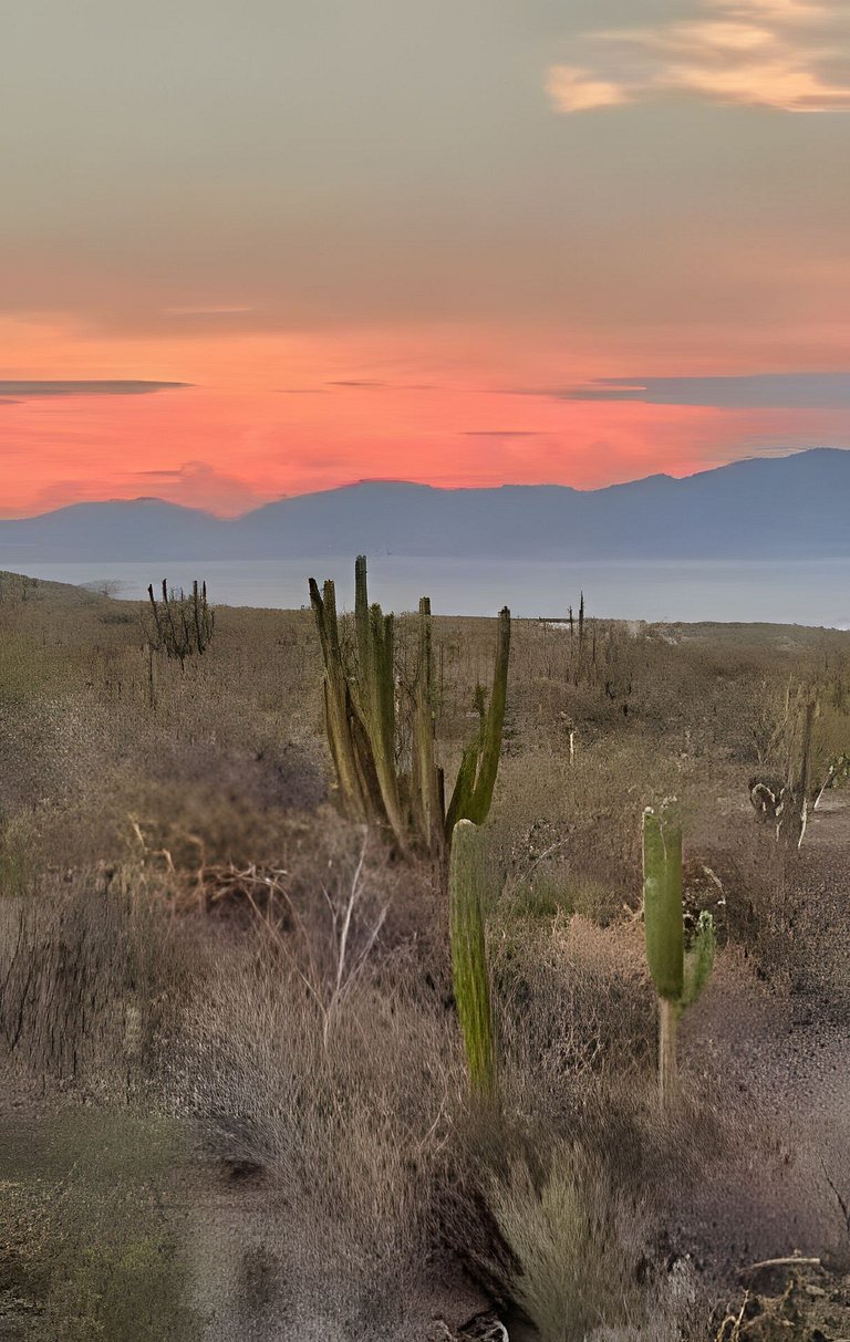 Rancho Baja Desconocida
