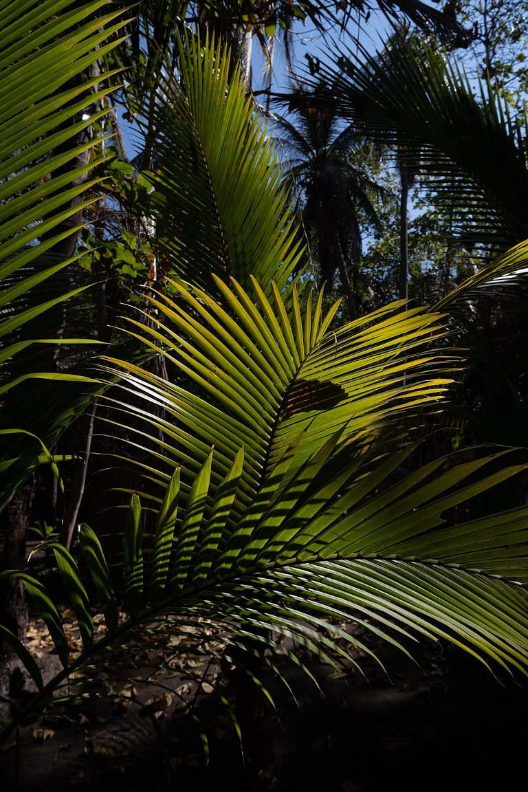 Habitación Casa de Agua