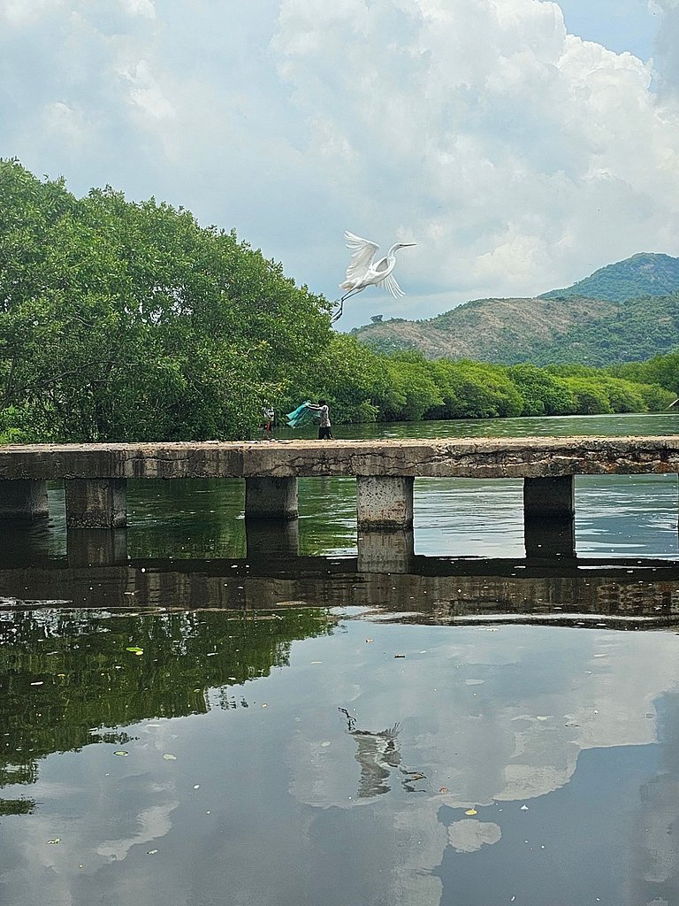 Cabaña "Guarida" Casa de Agua