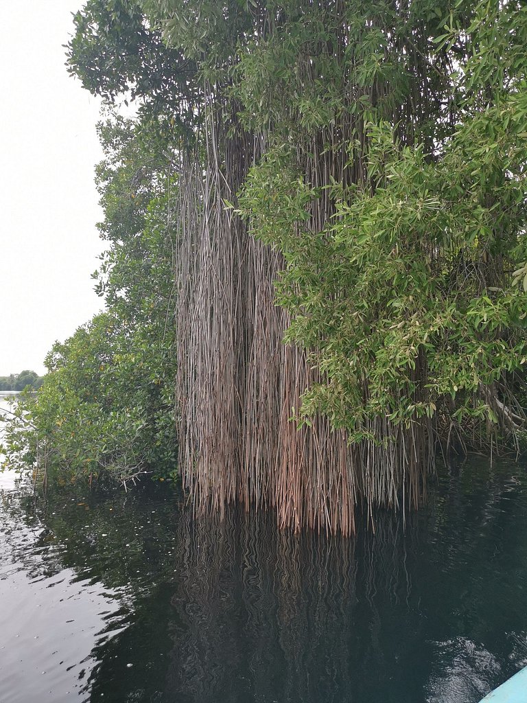 Cabaña "Mayahuel" Casa de Agua